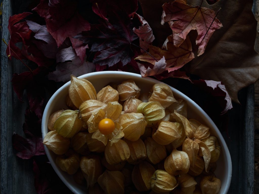 one orange physalis fruit open, golden berry tray on a fall leaves autumnal table