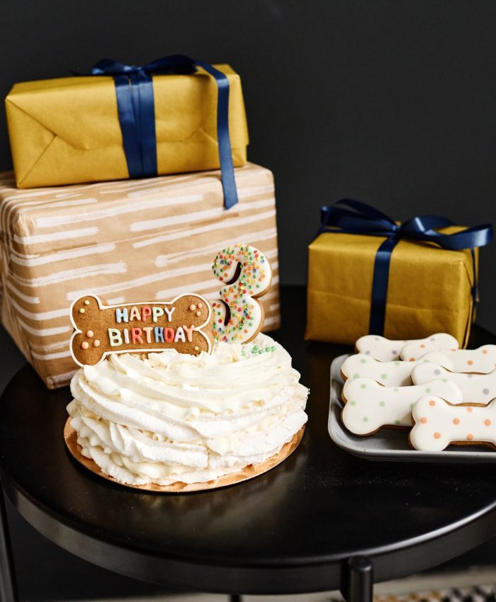 Birthday cake with presents for dog